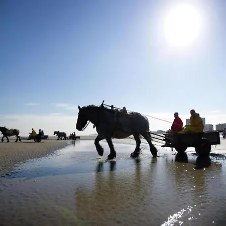 In By Sandy Beaches Apartmán Nieuwpoort